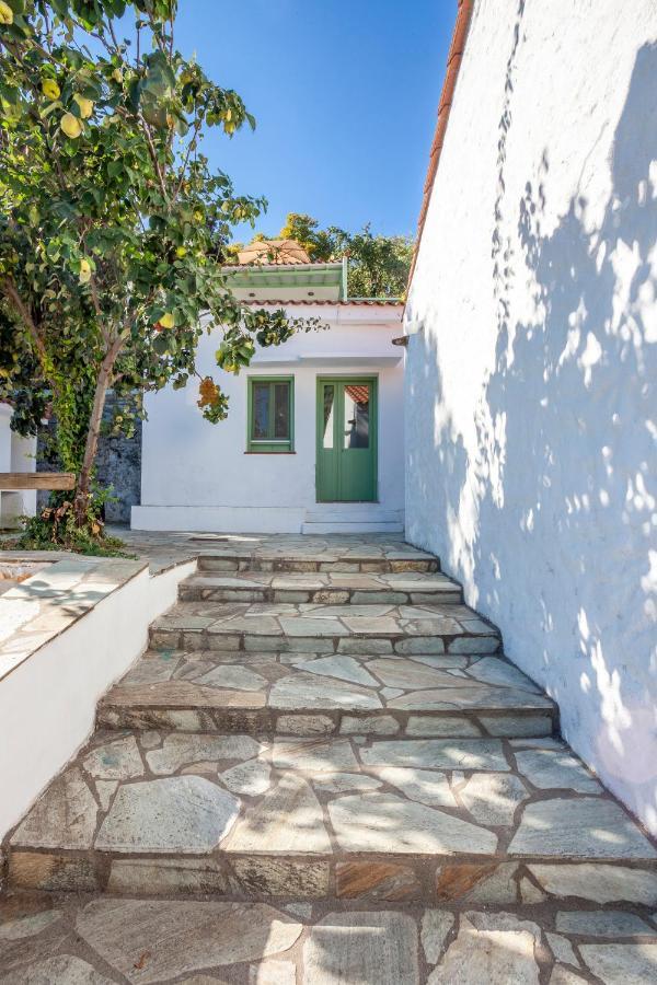 Olea Skopelos Villas With Swimming Pools & Sea View Panormos  Dış mekan fotoğraf