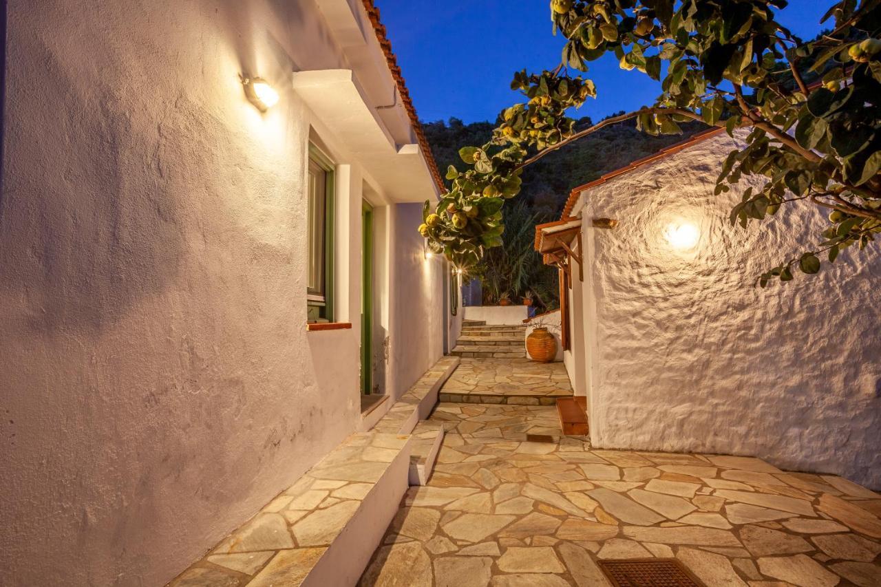 Olea Skopelos Villas With Swimming Pools & Sea View Panormos  Dış mekan fotoğraf