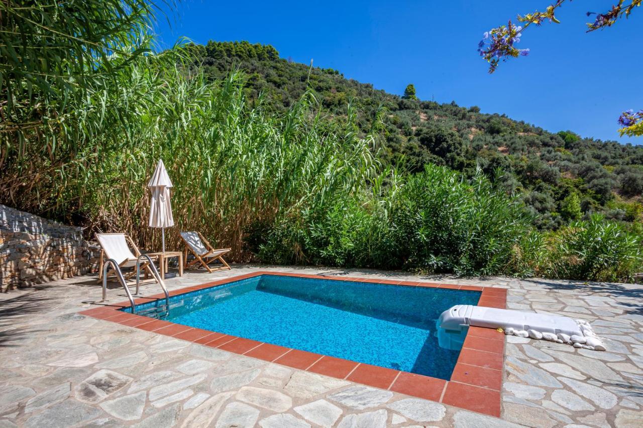 Olea Skopelos Villas With Swimming Pools & Sea View Panormos  Dış mekan fotoğraf