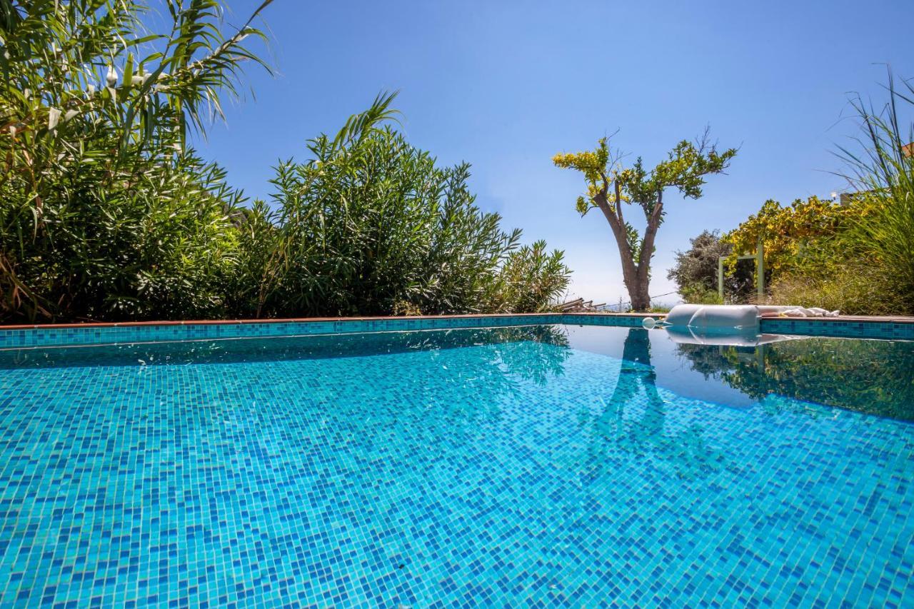 Olea Skopelos Villas With Swimming Pools & Sea View Panormos  Dış mekan fotoğraf